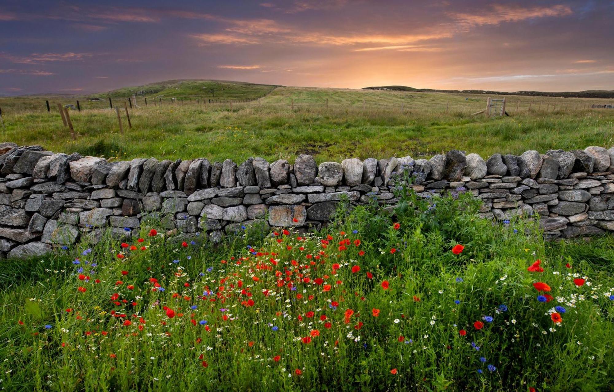 21 Callanish Luxury Pod Luaran gambar